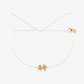 Alpha Phi Collection