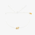 Delta Gamma Collection