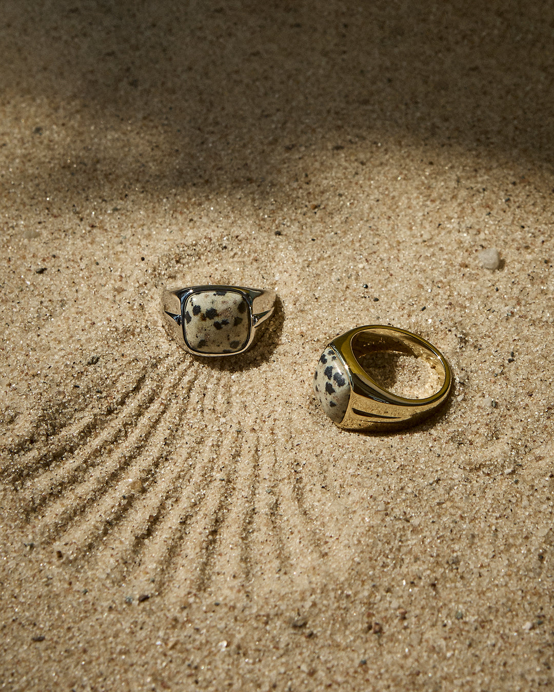 The Palma Signet Ring- Gold